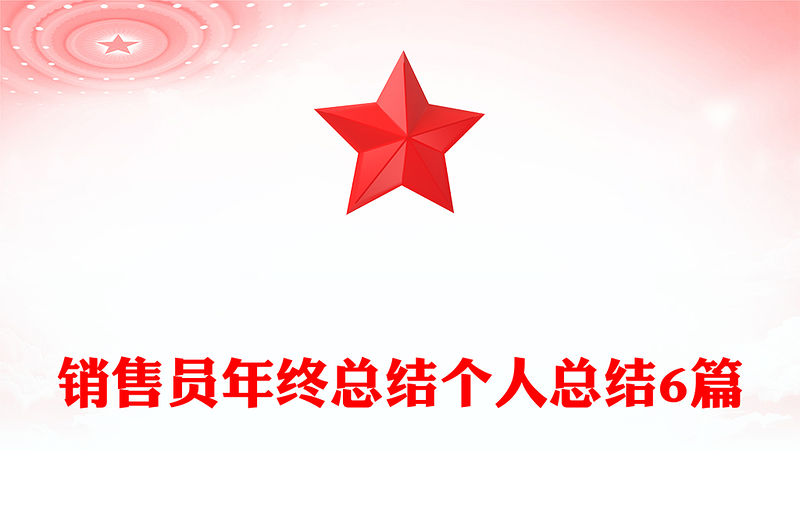銷售員年終總結(jié)個(gè)人總結(jié)6篇