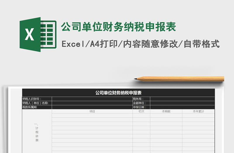 2021年公司单位财务纳税申报表