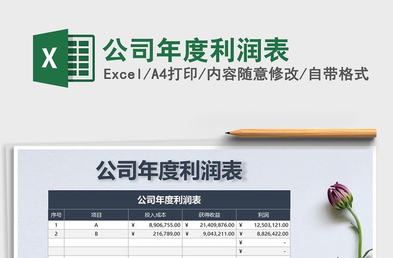 2021年公司年度利潤(rùn)表