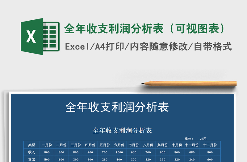 2021年全年收支利潤分析表(可視圖表)