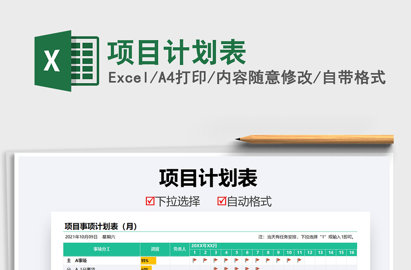 2021项目计划表免费下载