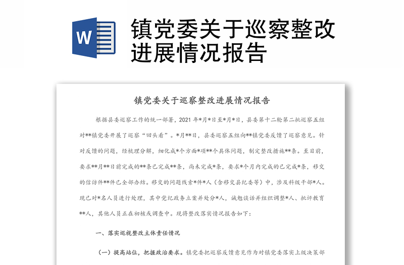 镇党委关于巡察整改进展情况报告