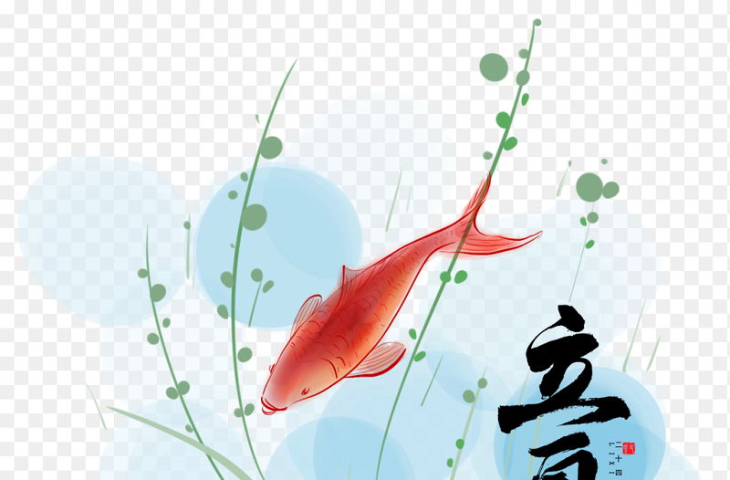 立夏艺术字夏天夏季池塘金鱼中国传统二十四节气立夏时节主题素材免抠元素