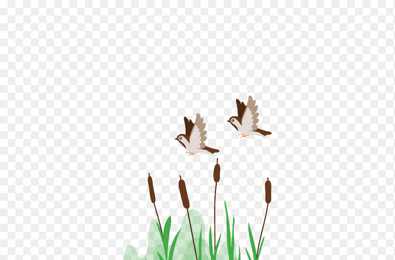 春天春季小鸟飞翔鸟类植物装饰免抠元素素材