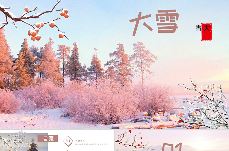 二十四節(jié)氣之大雪PPT模板通用