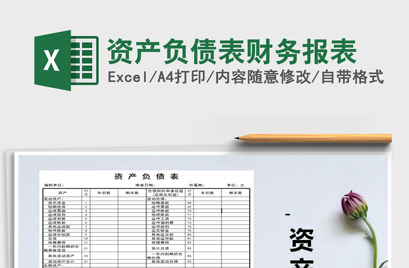 2021年資產(chǎn)負債表財務(wù)報表