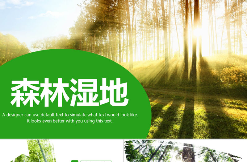 原創濕地森林植樹節濕地森林日植樹造林PPT模板-版權可商用