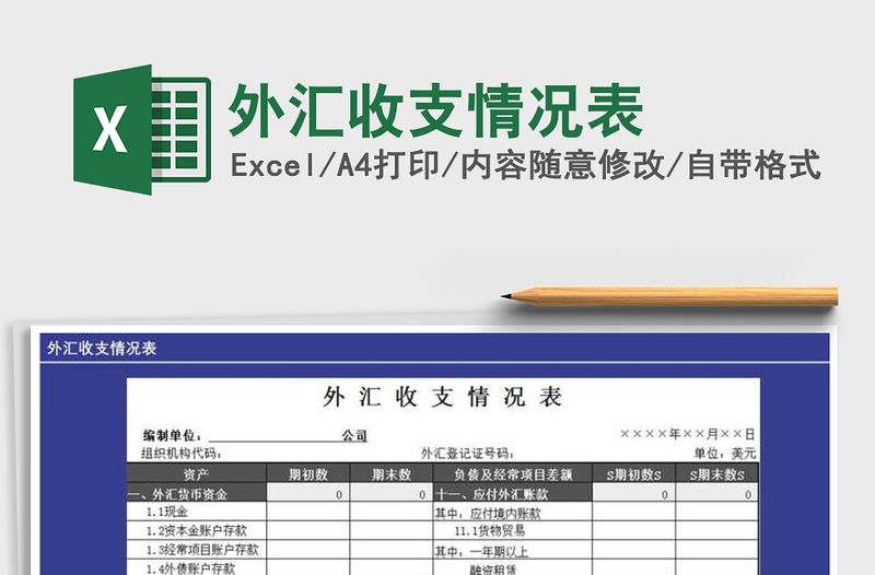 2021年外匯收支情況表免費下載