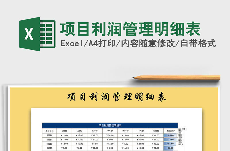2021年項目利潤管理明細表
