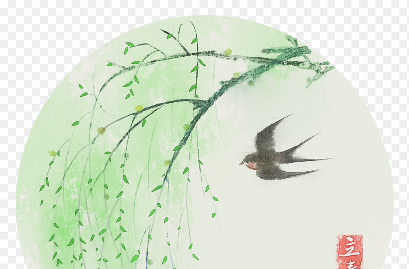 春天春季圆形柳树燕子插画中国传统二十四节气立春时节主题素材免抠元素