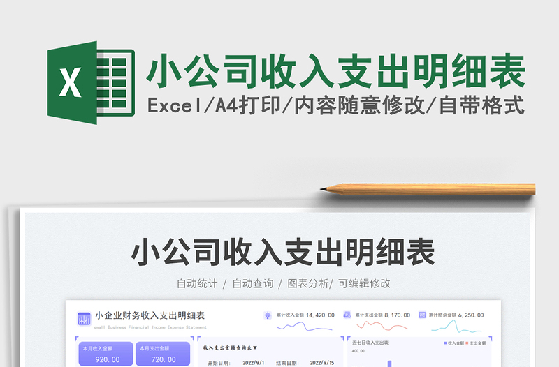 小公司收入支出明细表