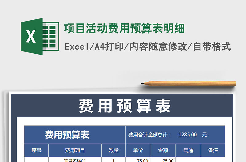 2021年項目活動費用預算表明細