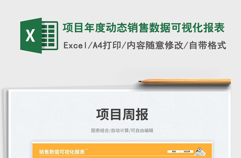 項目年度動態銷售數據可視化報表免費下載