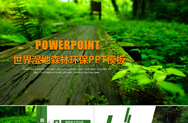 原創綠色環保世界濕地森林日動態PPT模板-版權可商用