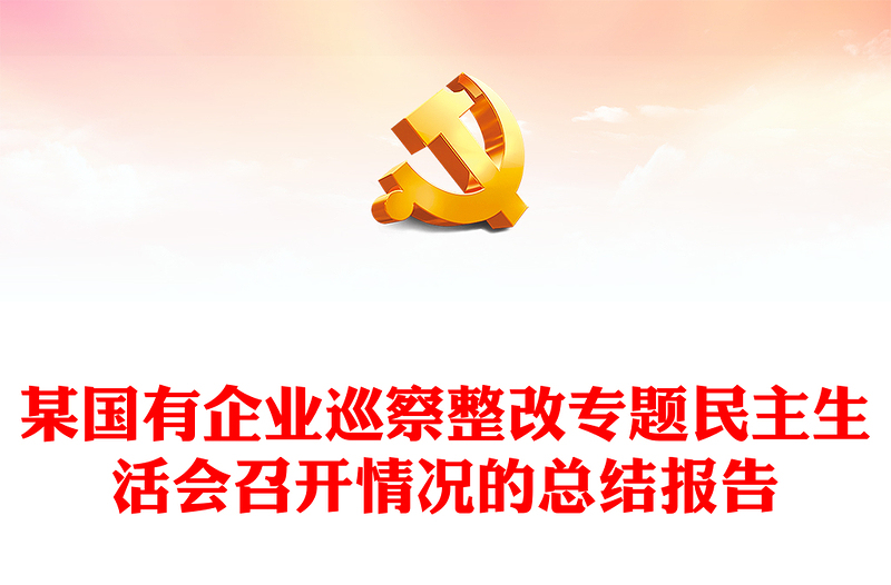 某國(guó)有企業(yè)巡察整改專題民主生活會(huì)召開(kāi)情況的總結(jié)報(bào)告