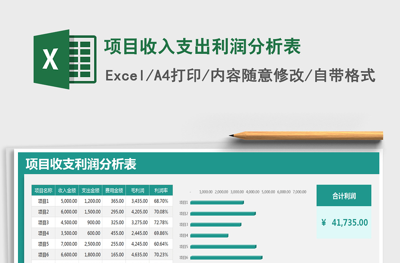 2021年项目收入支出利润分析表