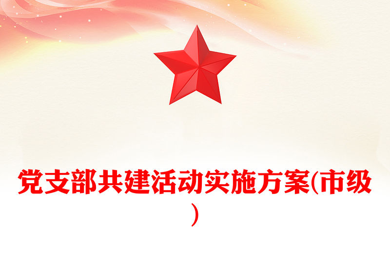 黨支部共建活動實施方案(市級)