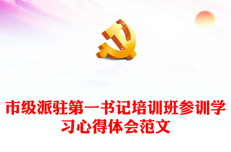 市级派驻第一书记培训班参训学习心得体会范文