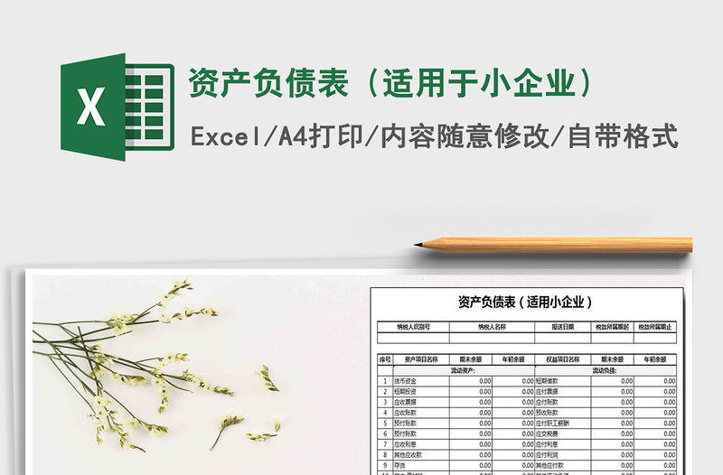 2021年資產(chǎn)負(fù)債表(適用于小企業(yè))