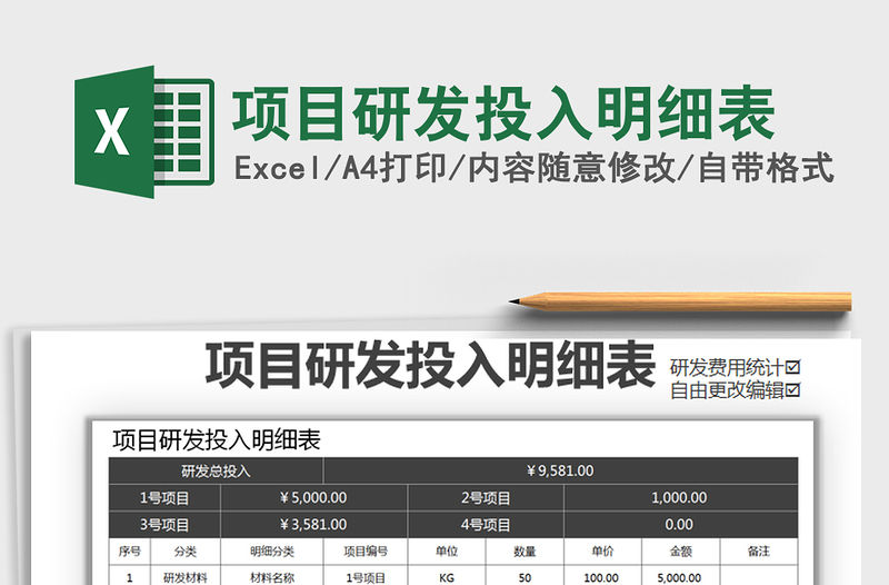 2021年項目研發投入明細表
