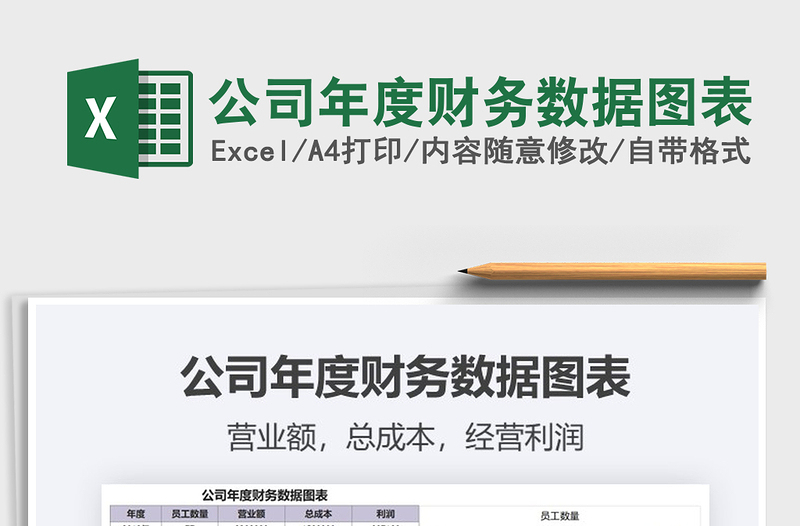2021年公司年度財(cái)務(wù)數(shù)據(jù)圖表