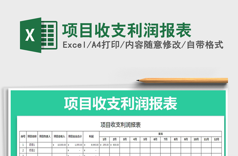 2021年項(xiàng)目收支利潤報(bào)表