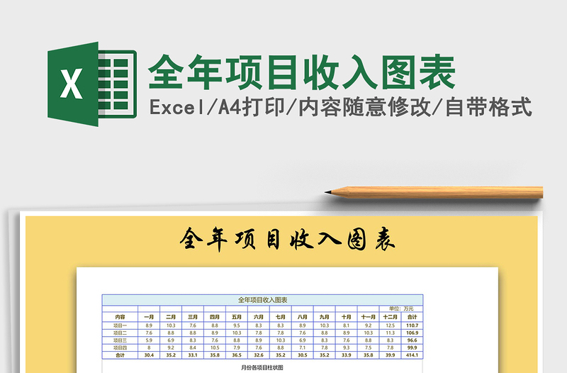 2021年全年项目收入图表