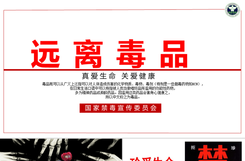 【完整內(nèi)容】國際禁毒日珍愛生命遠(yuǎn)離毒品禁毒知識(shí)教育PPT課件模板