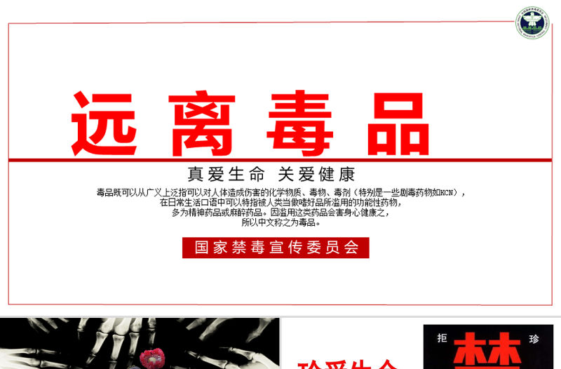 【完整內(nèi)容】國際禁毒日珍愛生命遠離毒品禁毒知識教育PPT課件模板