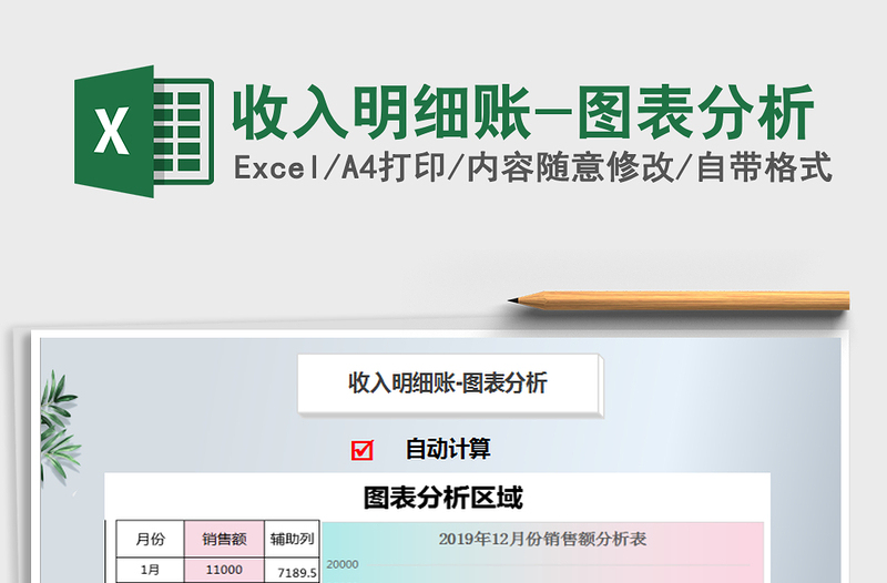 2021年收入明細(xì)賬-圖表分析