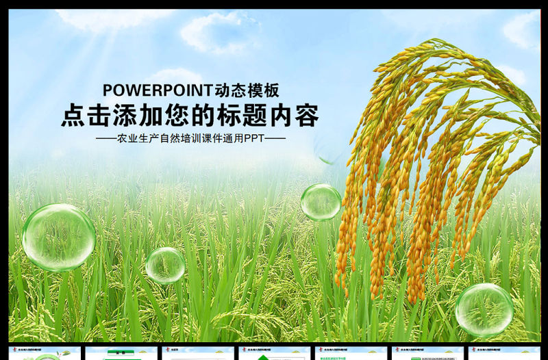 農業種子水稻豐收新農村春耕動態PPT