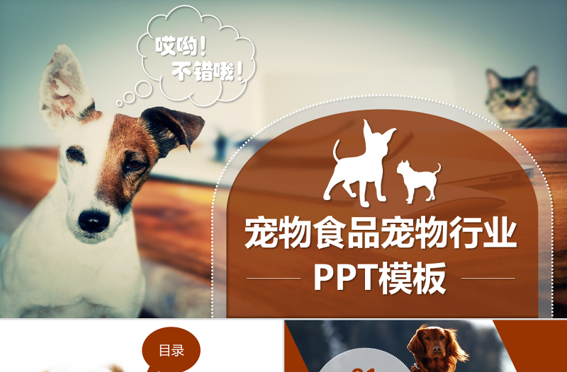 寵物食品PPT寵物店貓狗動物寵物PPT