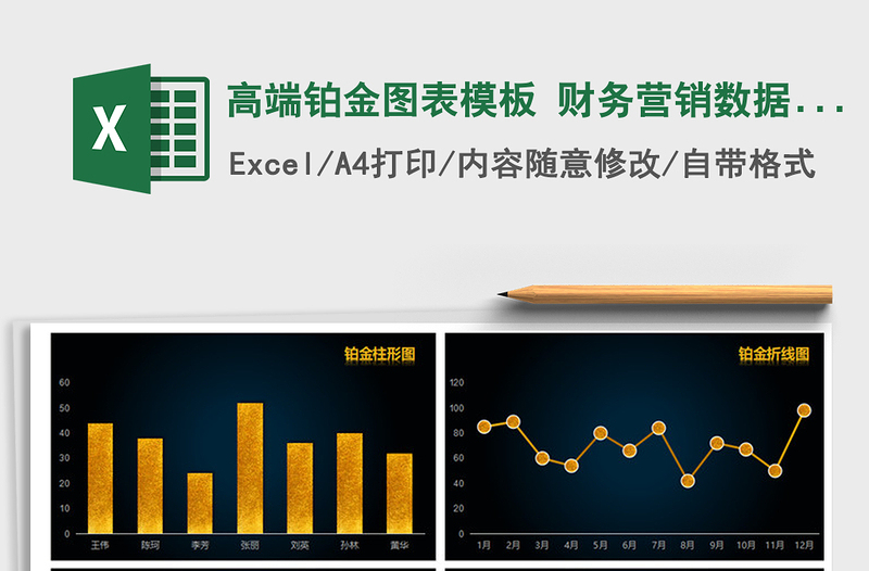 2021年高端铂金图表模板 财务营销数据对比分析免费下载