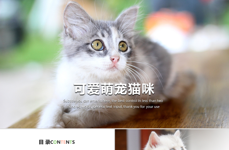 可愛萌寵貓咪寵物店動(dòng)態(tài)ppt模板