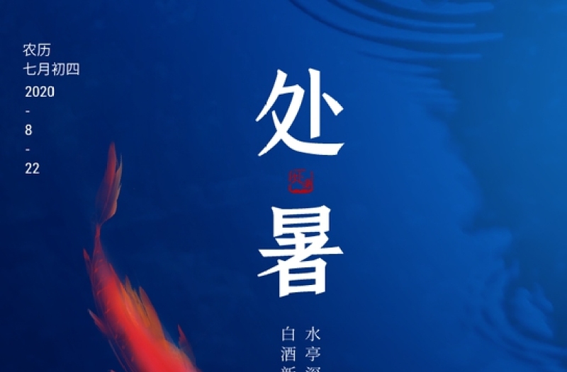 蓝色梦幻荷叶二十四节气之处暑宣传海报设计模板下载