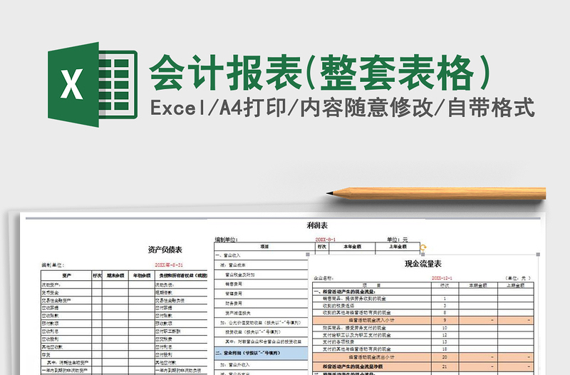 2021年會(huì)計(jì)報(bào)表(整套表格)