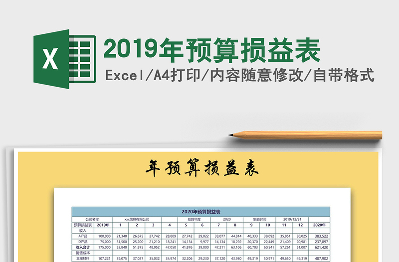 2021年2019年預(yù)算損益表