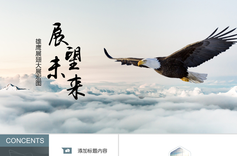 展望未來(lái)大展飛鷹企業(yè)發(fā)展目標(biāo)PPT模版
