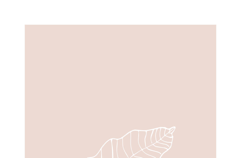 原創(chuàng)A4豎版粉色時(shí)裝品牌宣傳時(shí)尚PPT模板