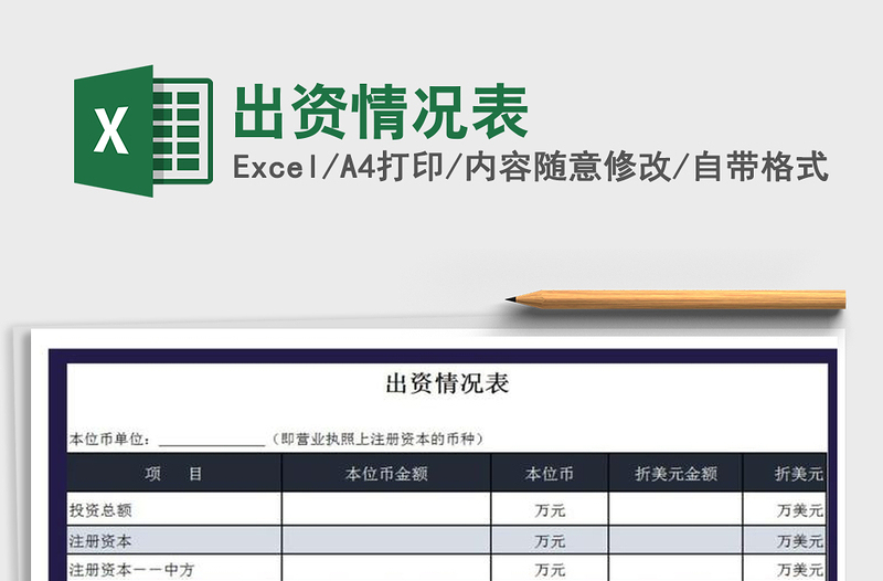 2022年出資情況表免費(fèi)下載