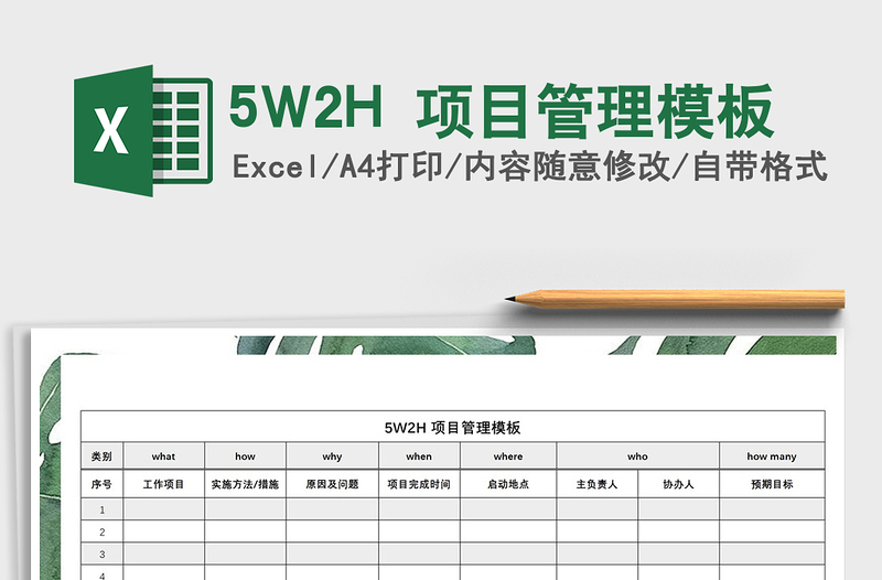 20225W2H 项目管理模板免费下载