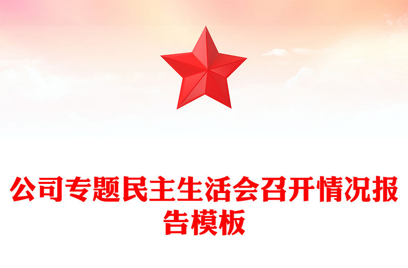 公司專題民主生活會召開情況報告模板