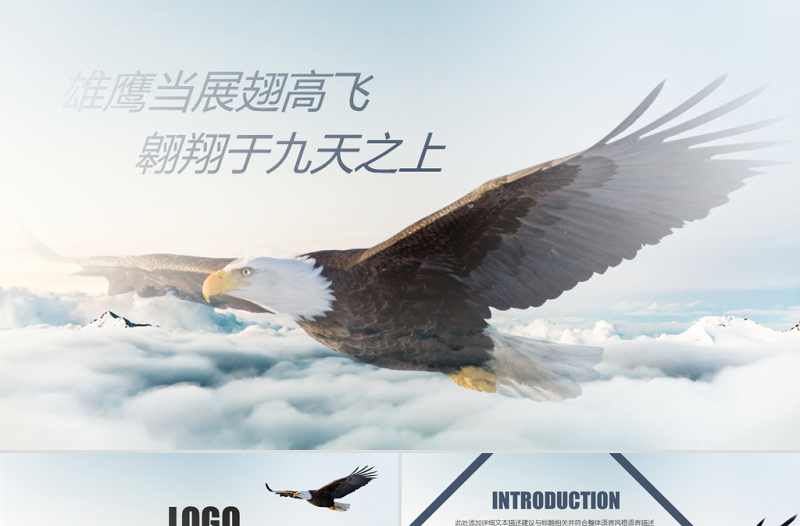 大氣蒼鷹公司簡介企業(yè)宣傳公司推廣PPT