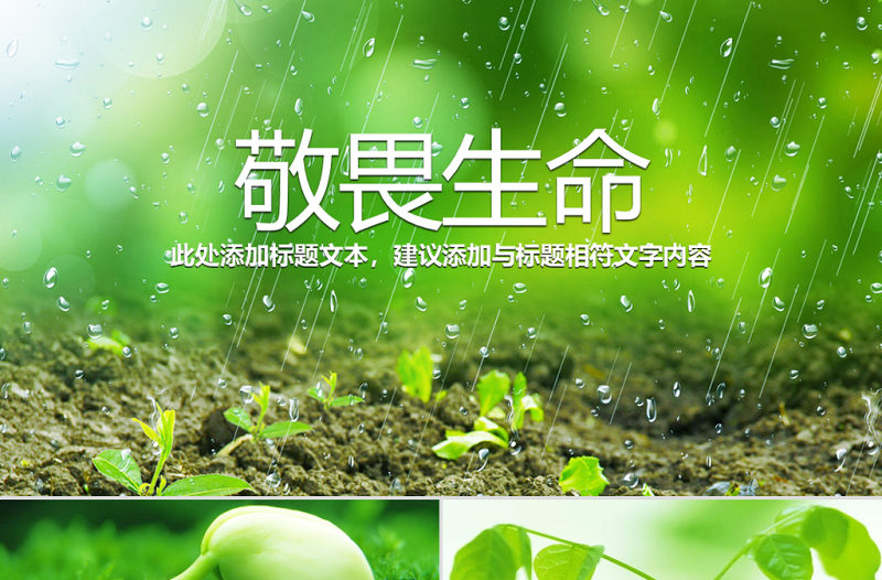 原創(chuàng)唯美綠色植物發(fā)芽植物生長敬畏生命PPT模板-版權(quán)可商用