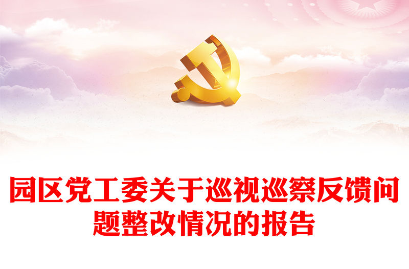 園區黨工委關于巡視巡察反饋問題整改情況的報告