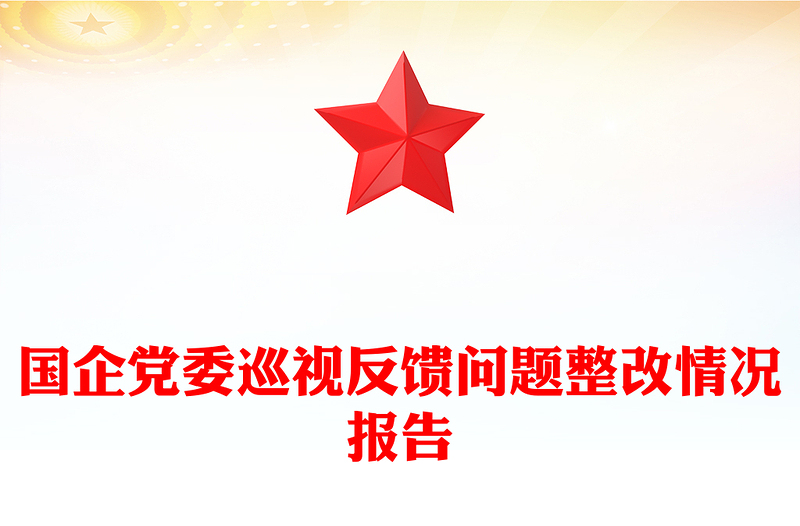 國企黨委巡視反饋問題整改情況報告