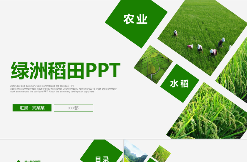 原創(chuàng)綠色農(nóng)田稻田水稻梯田綠洲農(nóng)業(yè)生產(chǎn)PPT模板-版權(quán)可商用
