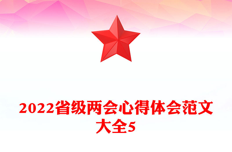 2022省級兩會心得體會范文大全5