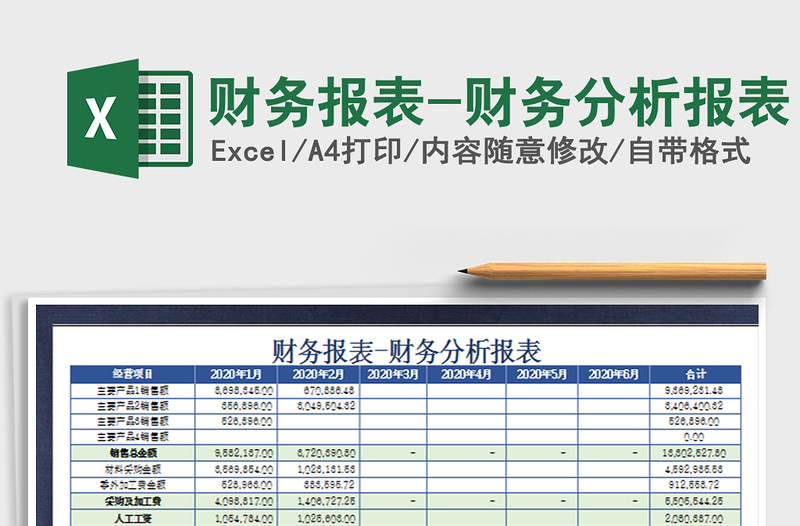 2021年财务报表-财务分析报表