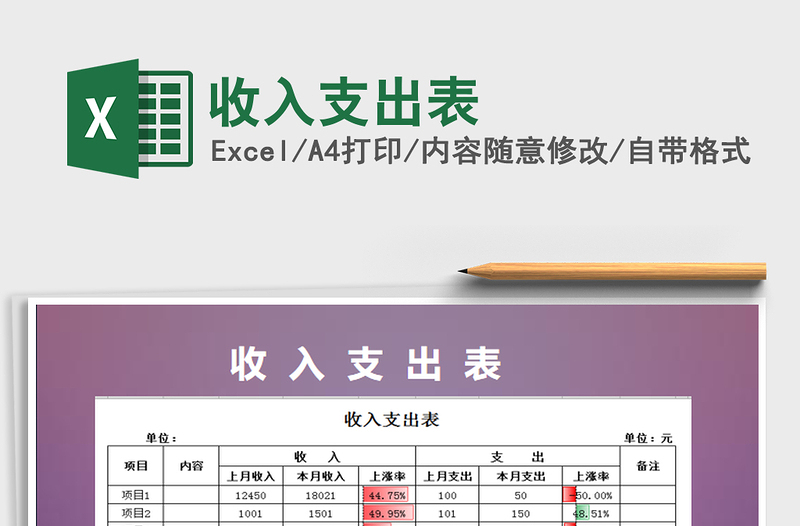 2021年收入支出表